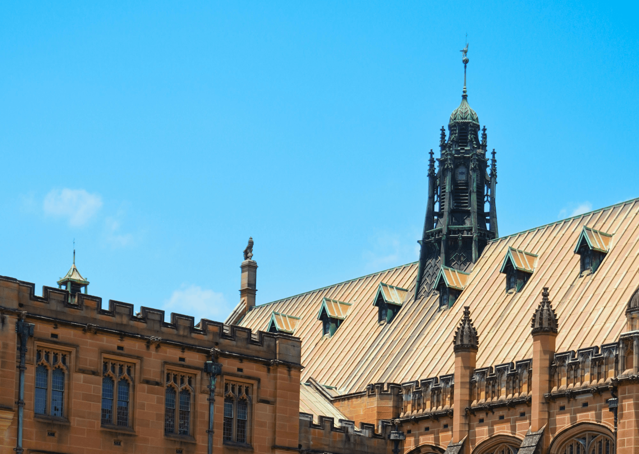 Student Visa Background