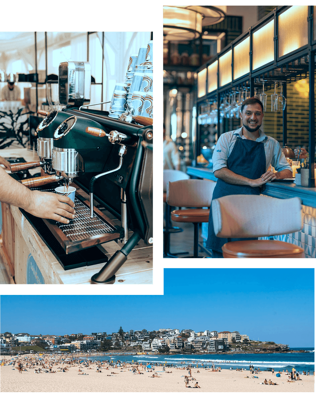 Education Consultant